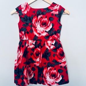 Gap‎ Kids Holiday Christmas Dress Size 4T